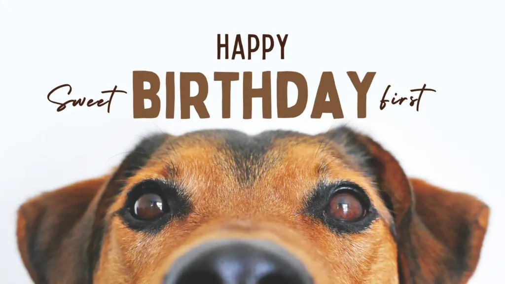 Funny Birthday Wishes for Husband