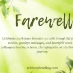 Farewell Wishes for Colleague