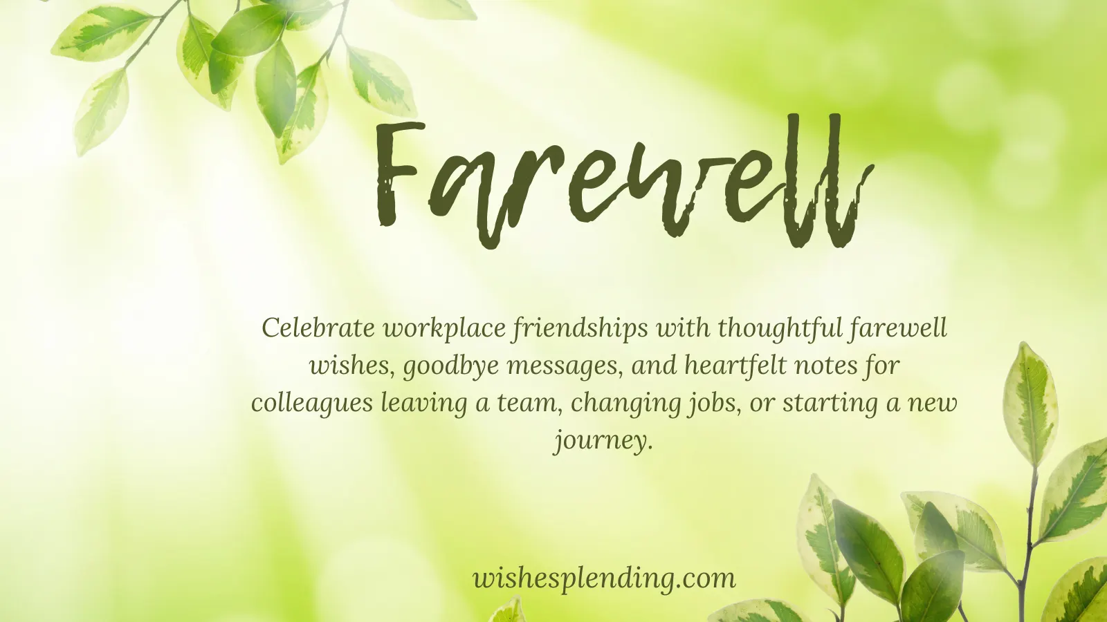 Farewell Wishes for Colleague